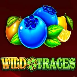 Wild Traces slot logo by Amusnet Interactive at Total Casino